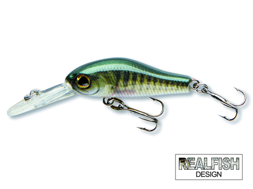 Obrazek Cormoran COR F2 3.5cm, Perch