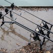 Avid Carp Lok Down Low Pod 10